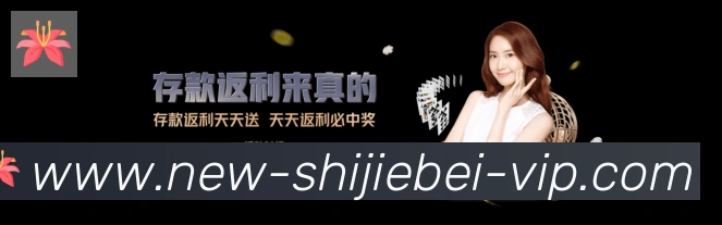 平台使命图